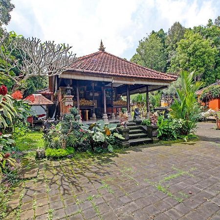 Munduk Oyo Homes 91091 Desa Wisata Umejero מראה חיצוני תמונה