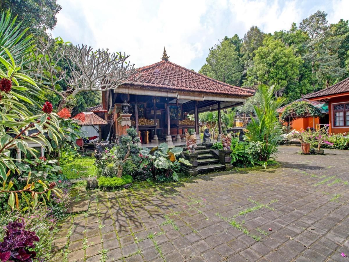 Munduk Oyo Homes 91091 Desa Wisata Umejero מראה חיצוני תמונה