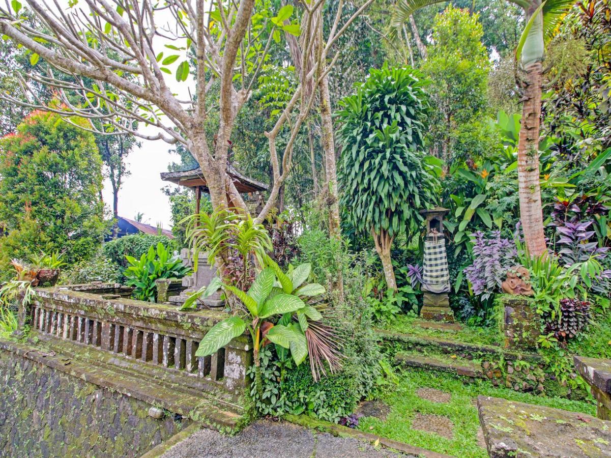 Munduk Oyo Homes 91091 Desa Wisata Umejero מראה חיצוני תמונה