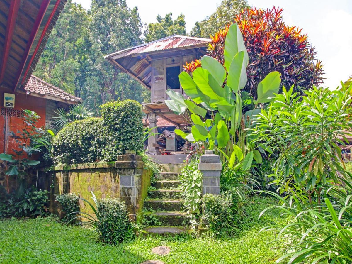 Munduk Oyo Homes 91091 Desa Wisata Umejero מראה חיצוני תמונה
