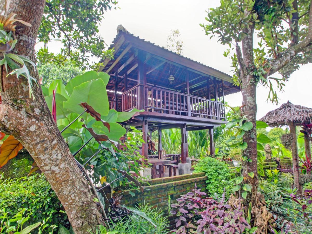 Munduk Oyo Homes 91091 Desa Wisata Umejero מראה חיצוני תמונה